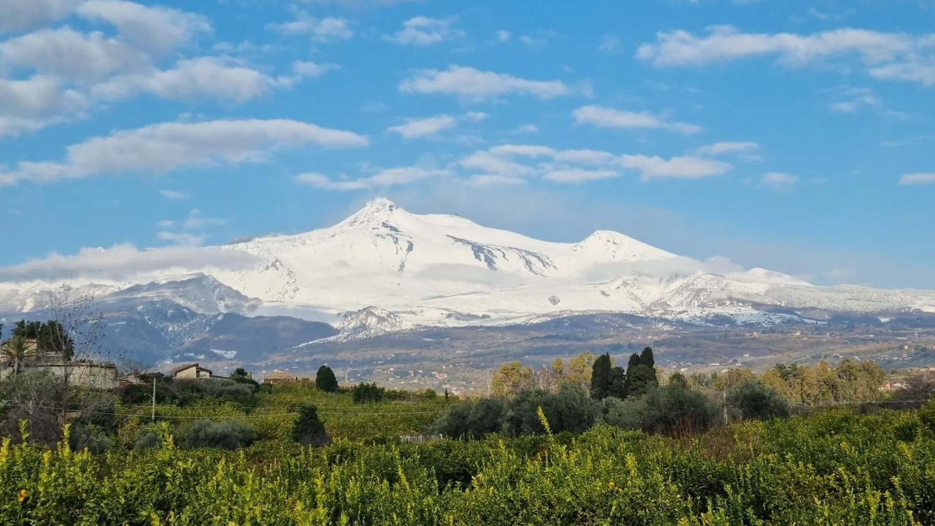 Le Dimore Del Corso Acireale - Sicily Stay, Fra Catania, Taormina, Il Mare E L'Etna 公寓