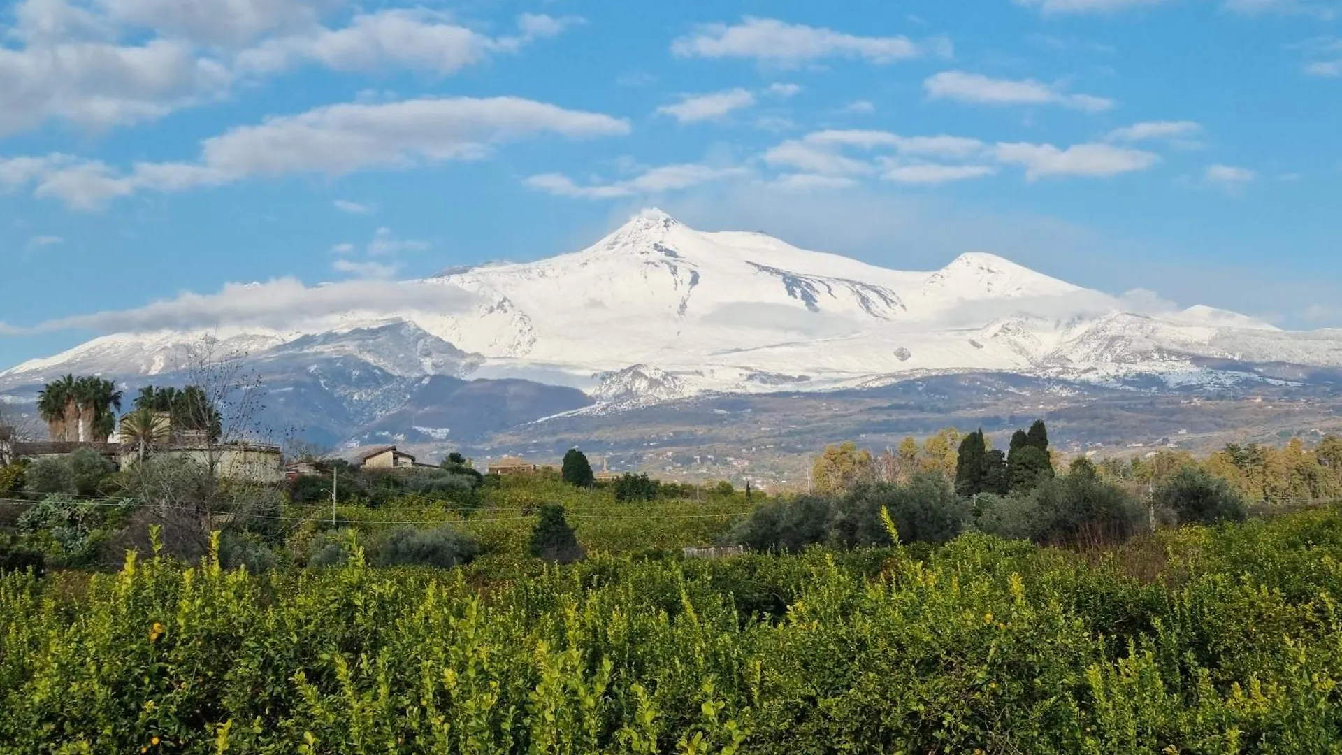 公寓 Le Dimore Del Corso Acireale - Sicily Stay, Fra Catania, Taormina, Il Mare E L'Etna 意大利
