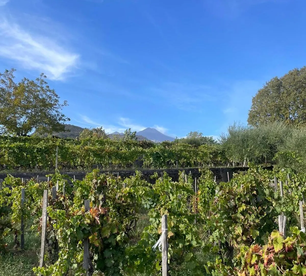 Le Dimore Del Corso Acireale - Sicily Stay, Fra Catania, Taormina, Il Mare E L'Etna 意大利